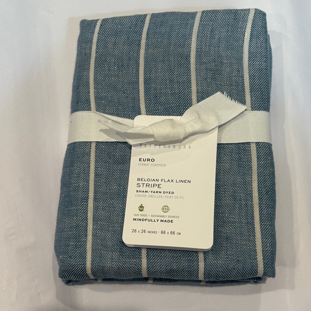 Pottery Barn Belgian Flax Linen Stripe Sham in Blue and Cream